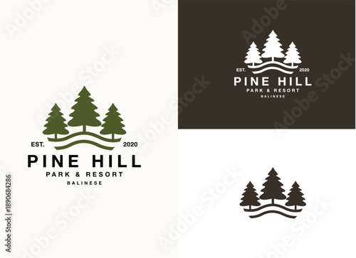 Forest Landscape classic vintage logo design. Silhouette of three pines tree similar with evergreen fir conifer spruce cedar larch cypress tree. 