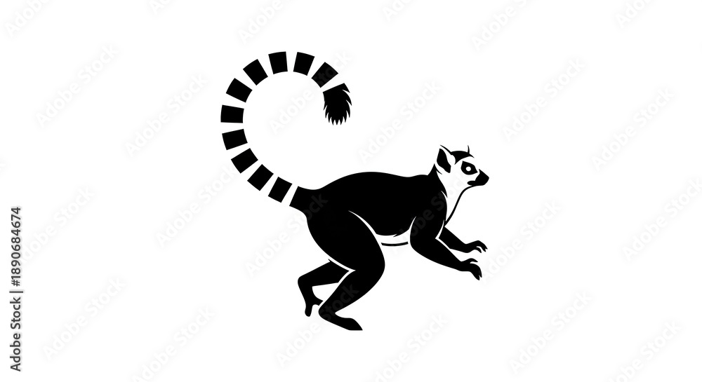 Fototapeta premium Ring-tailed lemur silhouette on white background, black and white.
