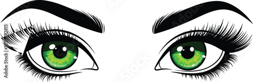 Green female eyes closeup vector illustration with lashes eyebrows makeup gaze beauty vision expression cosmetic fashion isolated design