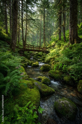 Green forest scene with a stream, mossy rocks, and a wooden bridge in bright sunlight near tall trees