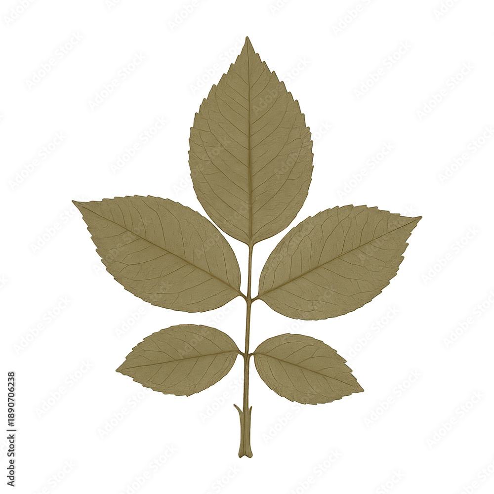 Fototapeta premium PNG Golden leaf botanical design