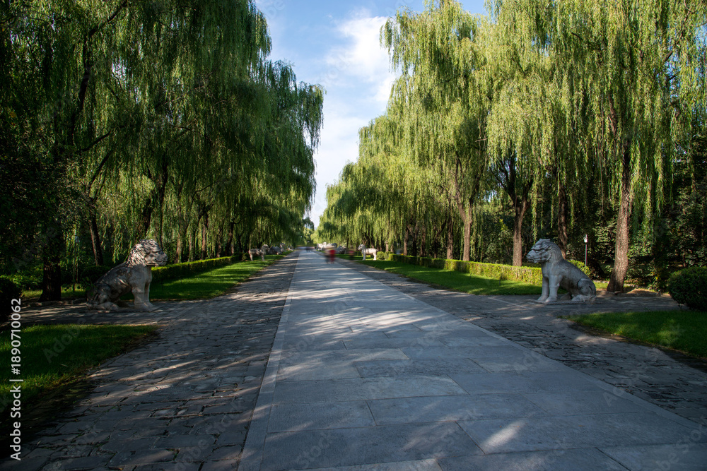 Obraz premium Ming Tombs Sacred Route Beijing - Weeping Willows and Stone Lions