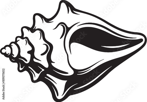 Queen Conch Black and White 3D Line Art Illustration Isolated on White