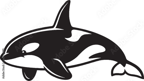 Orca Killer Whale Black and White