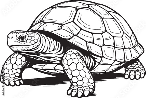 Old tortoise black and white 3d line art illustration