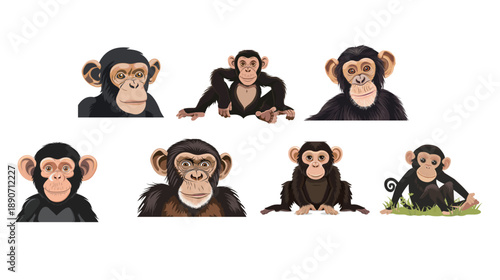 A cute chimpanzee character illustration isolated on white background