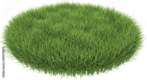Realistic Green Grass Patch Illustration Vector Isolated on White Background for Nature Landscape Garden Design Lawn Meadow Field and Outdoor Decor