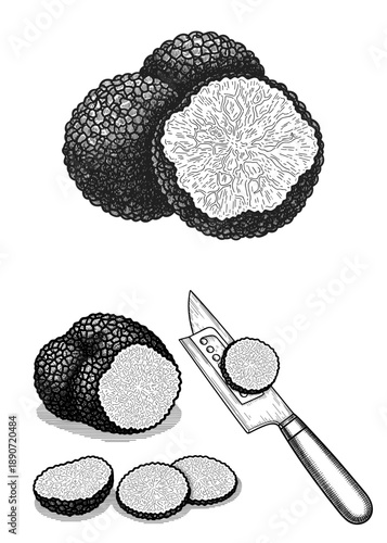 Vintage engraving style illustration of whole and sliced black truffles with a shaver for gourmet culinary delicacy concept
