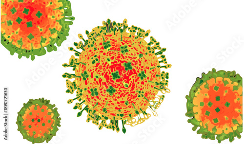 Nipah  virus vector