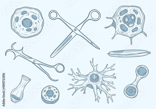 A minimalist illustration of a glass flask containing blue liquid. Perfect for scientific or medical content.