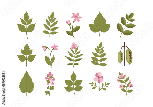 A stylized green leaf illustration evokes a fresh, natural feel, ideal for environmental and nature-themed designs.