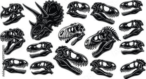 Detailed Collection of Prehistoric Dinosaur Skull Illustrations Featuring Tyrannosaurus Rex Triceratops and Various Theropod Fossil Heads for Paleontology Graphic Design