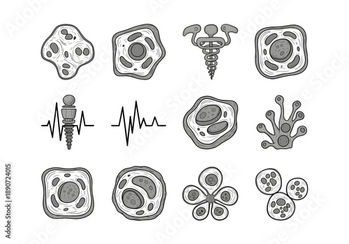 A detailed illustration highlighting the structure of a cell, suitable for educational or scientific content.