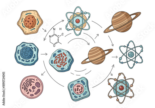 A detailed illustration of a human cell displaying various organelles, useful for educational content or scientific research visuals.