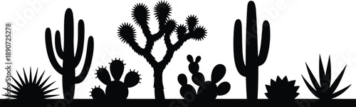 Silhouette of Desert Landscape with Various Cacti and Joshua Tree