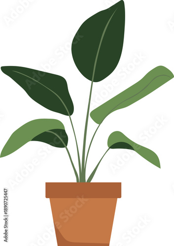 green plant in a pot