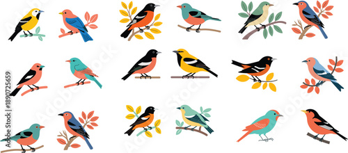 Large collection of eighteen colorful garden bird vector illustrations perched on leafy branches isolated on a white background