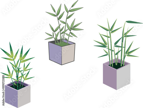 Modern minimalist indoor bamboo plants in square pots vector set for home and office interior decoration and natural green design projects