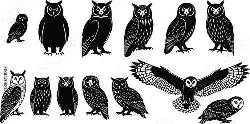 Black and White Owl Vector Silhouette Set Featuring Various Species in Different Poses Including Flying Perching and Detailed Nocturnal Patterns