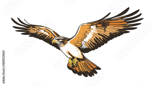 Bird of Prey in Flight Illustration.