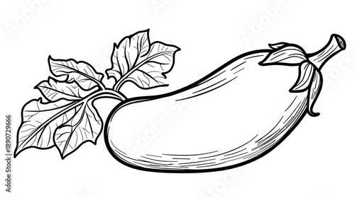 Black and White Eggplant with Leaves.