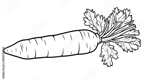 Carrot with Leaves Illustration.
