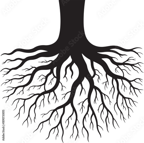 Tree Roots Silhouette – Root System Vector Black on White