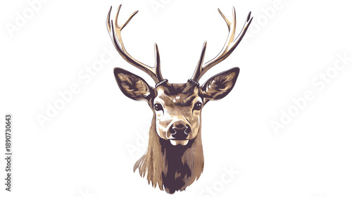 Deer with Antlers Head Shot Portrait.