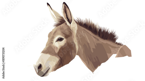 Donkey Head with Ears and Mane.