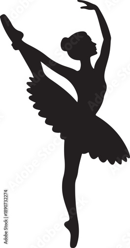 Concept of Graceful Ballet Art