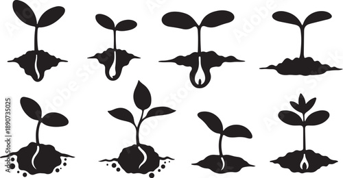 Set of black silhouettes of growing plants and seedlings