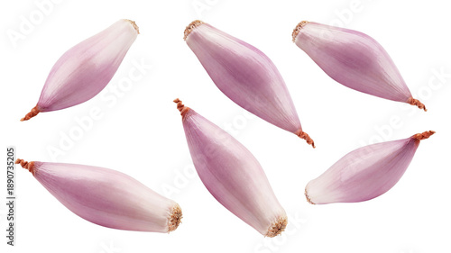 Bild auf Leinwand a group of six whole shallots, meticulously peeled and positioned on a deep transparent background, showcasing their elegant elongated form for culinary inspiration