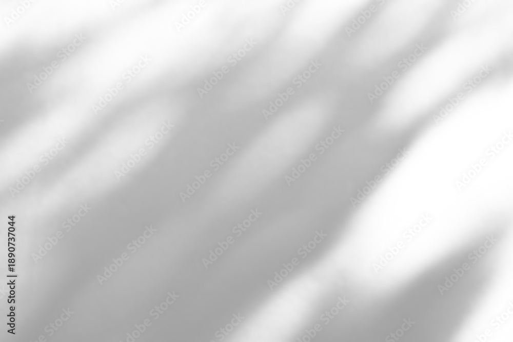 Fototapeta premium Abstract natural tree branch leaves shadow on white wall background