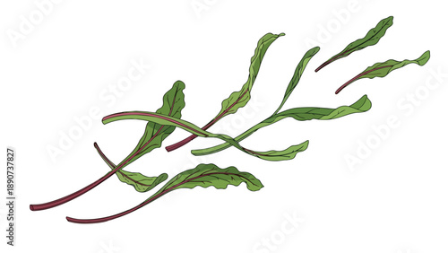 Steaming hearty bowl illustration, traditional earthenware, wooden spoon, green peas, wholesome ingredients, warm comfort food graphic, rustic