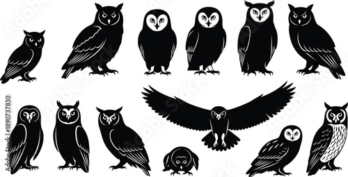 Set of black owl silhouettes icons and diverse stylized nocturnal birds collection for nature logo design wildlife symbols and illustrations