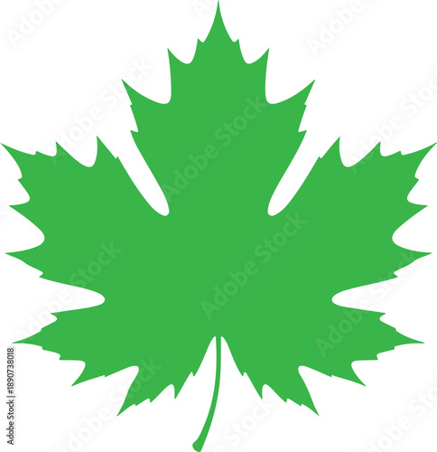 Leaf Silhouette – Tree Leaf Vector Black on White”