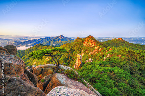Photography Morning view of Dobongsan Mountain in Seoul and pine trees on the clifftop of Bukhansan National Park, Dobong-gu, Seoul, South Korea