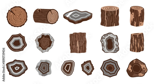 Diverse set of wood slices and agate geode slices in varying shapes and textures