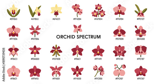 Diverse spectrum of orchid flowers with corresponding color codes for design reference