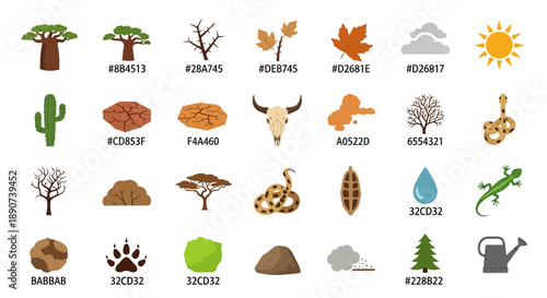 Diverse vector elements representing an arid or semi-arid ecosystem illustration