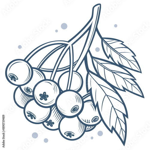 Frozen formation of ice blue 3D spheres in a frosted cluster with a cool winter inspired tactile vector aesthetic