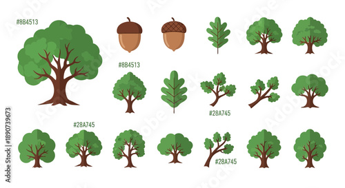 Illustrations showcasing trees and acorns in a playful and cartoonish style for educational designs