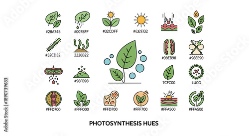 Illustrative compilation of photosynthesis process depiction using vibrant color hues