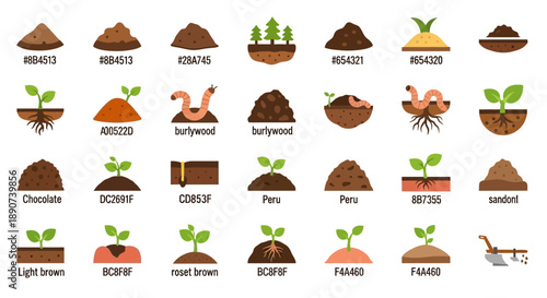 Soil types and plant life stages, presented as vector graphics for educational purpose