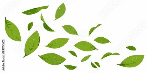 A scattering of vibrant green leaves against a plain white background