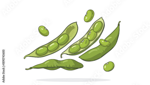 Fresh vibrant green soybeans and their tender pods, both whole and neatly split, depicted in a charming hand-drawn illustration highlighting healthy