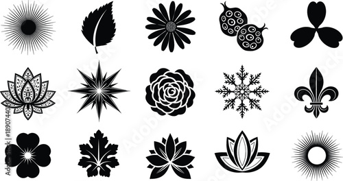 Decorative floral and geometric silhouette vector set with botanical symbols and ornamental shapes isolated on white background illustration