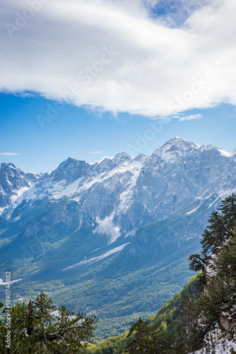 Wallpaper Mural A breathtaking alpine panorama showcasing towering snow covered peaks rising above a deep green forested valley. Soft clouds drift across a bright blue sky Torontodigital.ca