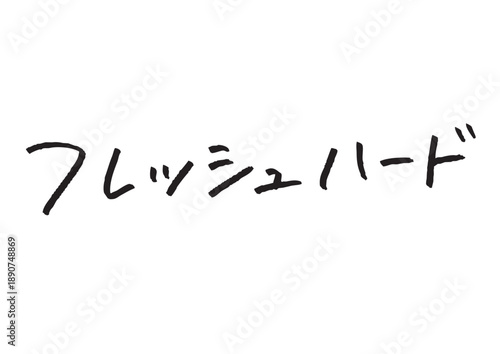 顔タイプ フレッシュハードというインパクトのある手書きカタカナ素材