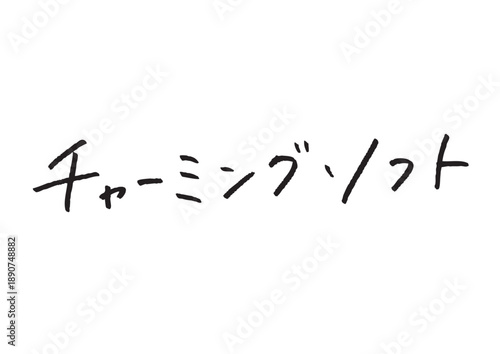 顔タイプ チャーミングソフトという可愛らしい手書きカタカナロゴ